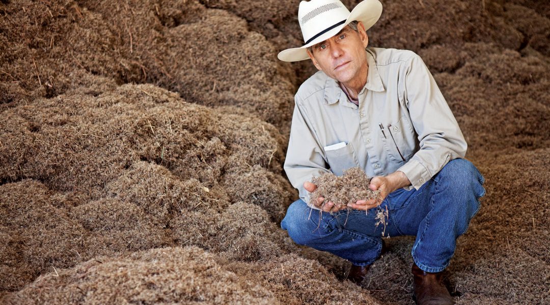 Bill Nieman sits in front of a pile of native seeds