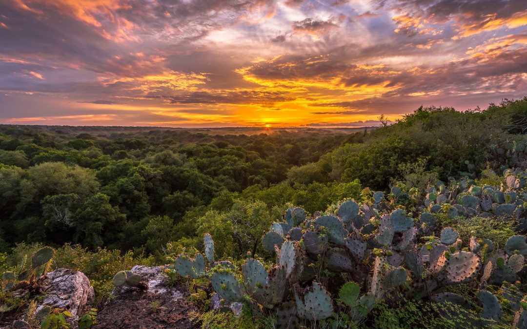 The sunset paints skies pink over a scenic view of the undeveloped Hill Country, taken in San Marcos. Photo courtesy of Jordan Moore.