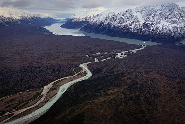 Despite All That Undeveloped Habitat, Canadian Wildlife Is In Sharp Decline