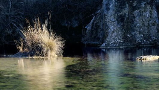 New Texas Conservation Area Boasts Hundreds Of Springs