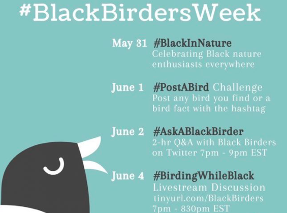 #BlackBirdersWeek Aims To Raise Awareness, Grow Community