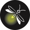 HCNSM Icons Firefly