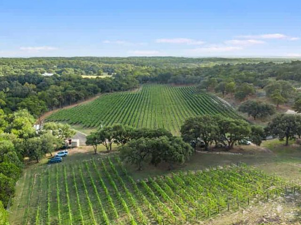 Texas Hill Country Harvests No. 3 Ranking Among American Wine Regions