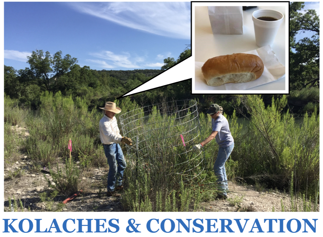 AgriLife, Hill Country Alliance, And Gillespie County Partners Host Kolaches And Conservation Event