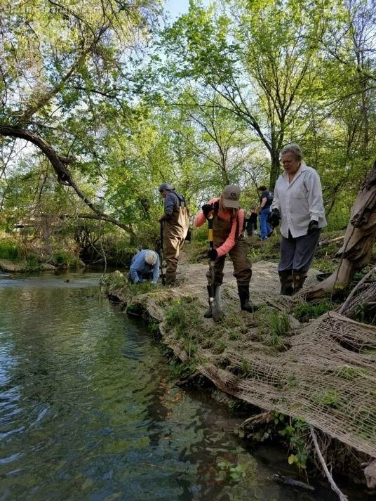 Urban Riparian Demonstration Site In Seguin Approved For Three More Years