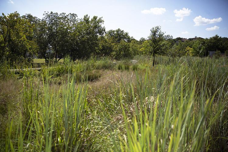 Comal County Seeks Grants For Conservation Purchases