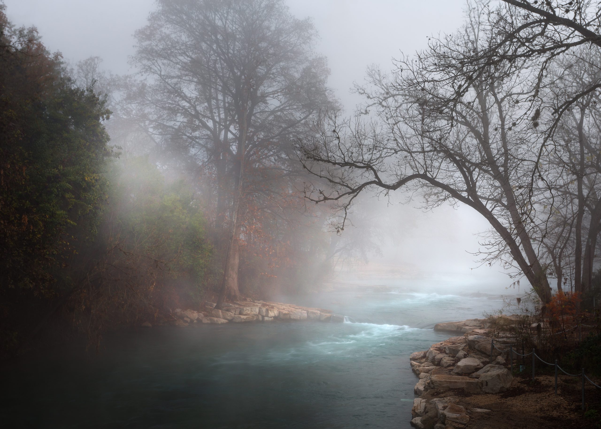 2021 Grand Prize winning shots shows a steaming San Marcos River flowing through misty trees