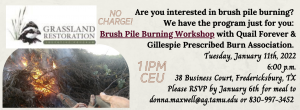 Gillespie County Brush workshop 2022