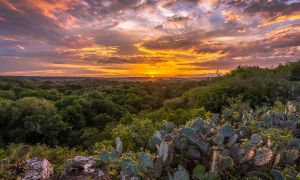 Person standing on the rocky edge of a misty lake
