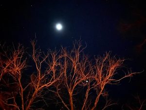 Inks Lake SP at Night