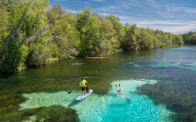 The Florida Wildlife Corridor is nearly 18 million acres of natural wonder. The state just took a significant step to keep it alive
