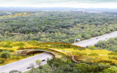 Nation’s largest land bridge for people and wildlife opens in San Antonio
