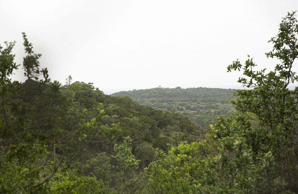 View of the Texas Hill Country landscape