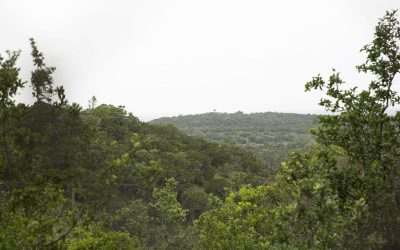 Comal County group, Hays County neighbors aim to spare some nature from sprawl