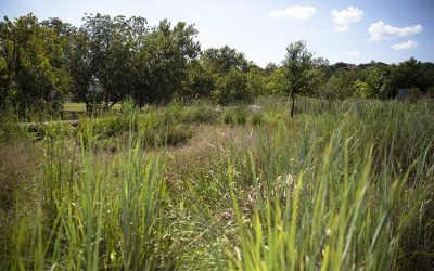 Comal County seeks grants for conservation purchases
