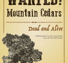New Book: Wanted! Mountain Cedars, Dead and Alive