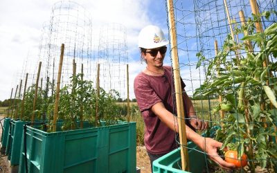From the toilet to the sink: water recycling battles scarcity