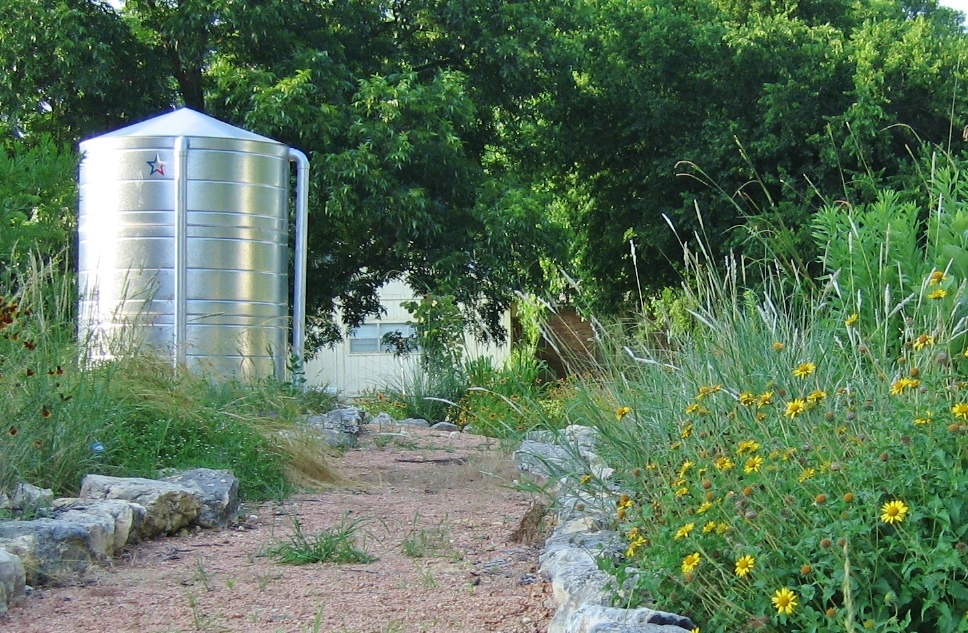 A rainwater tank sits in a garden