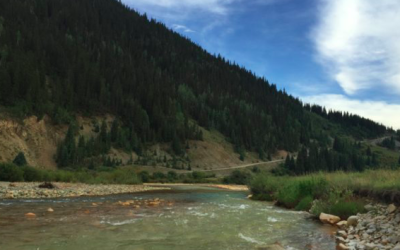 An ode to tributaries