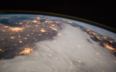 The pandemic is turning the natural world upside down