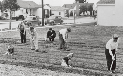 Food supply anxiety brings back Victory Gardens