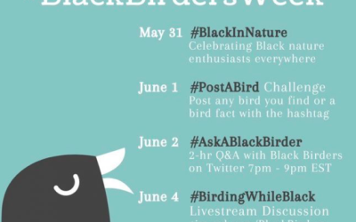 #BlackBirdersWeek aims to raise awareness, grow community