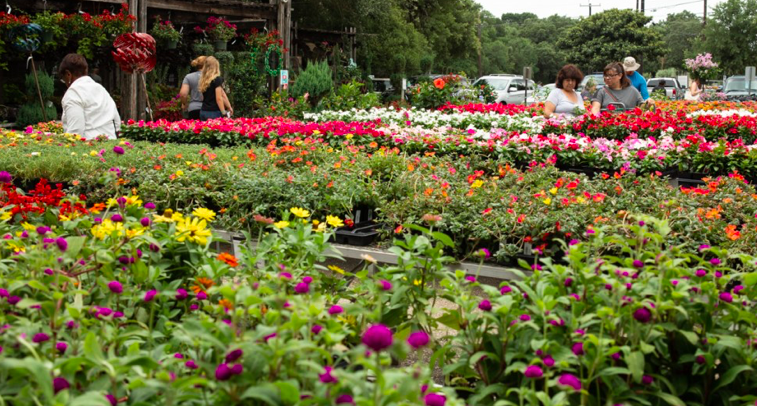 For stay-at-home stress relief, San Antonians turn to gardening