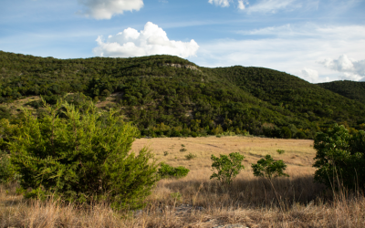 Protecting the Edwards Aquifer means protecting the contributing zone