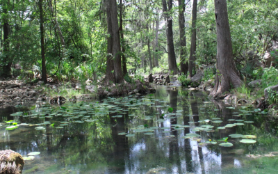 Hill Country’s Honey Creek no longer set to receive treated sewage