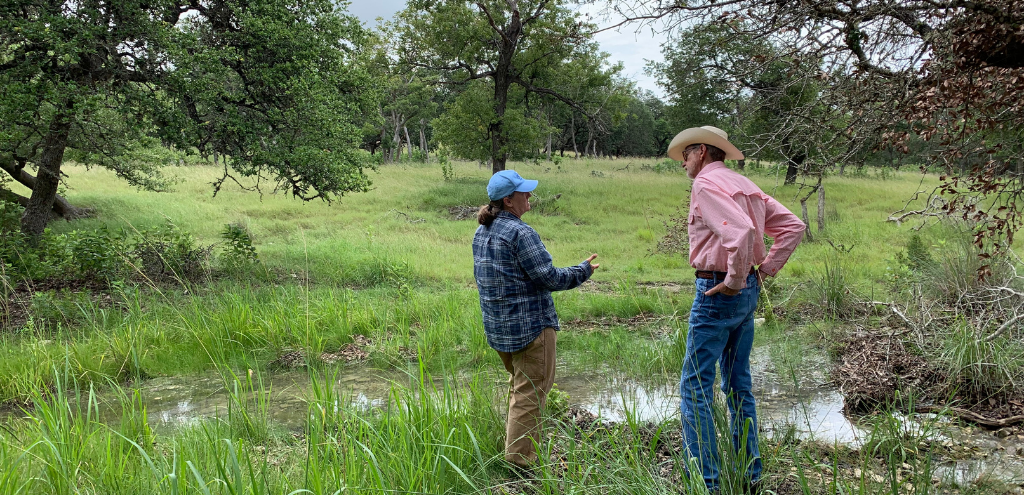 Landowners stand in a grassy field dotted with live oaks