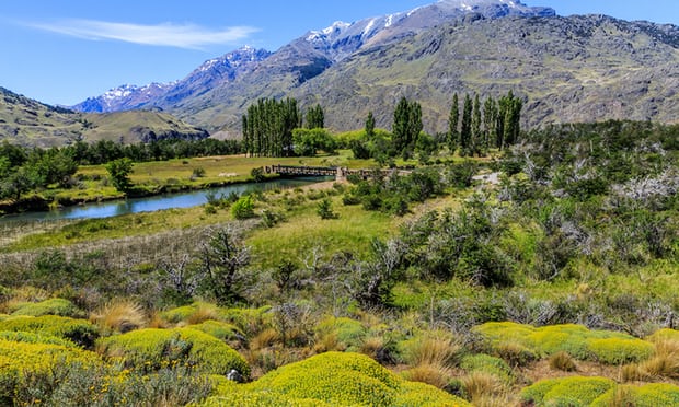 Chile creates five national parks over 10m acres in historic act of conservation