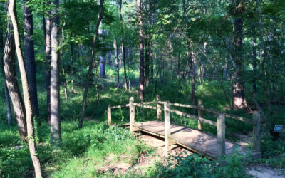 Record-breaking vote shows consensus and need for more Texas state parks