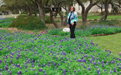 HOAs slow to accept native plant landscaping