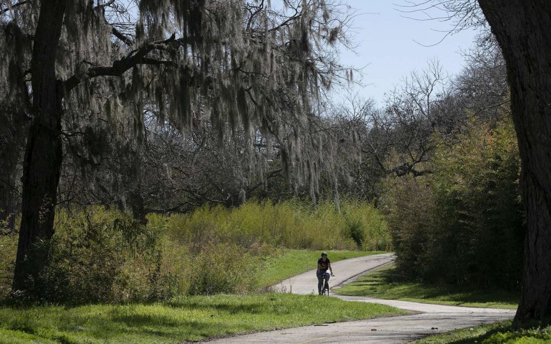 Cyclist biking on a path in the Salado Creek Greenway