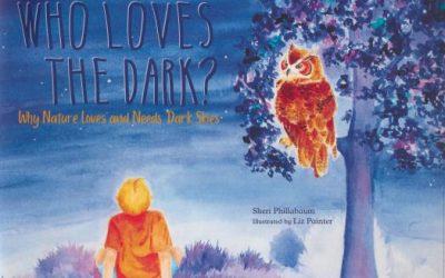 The importance of dark skies