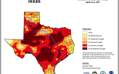 Drought Stage 3 declared by Blanco-Pedernales Groundwater Conservation District