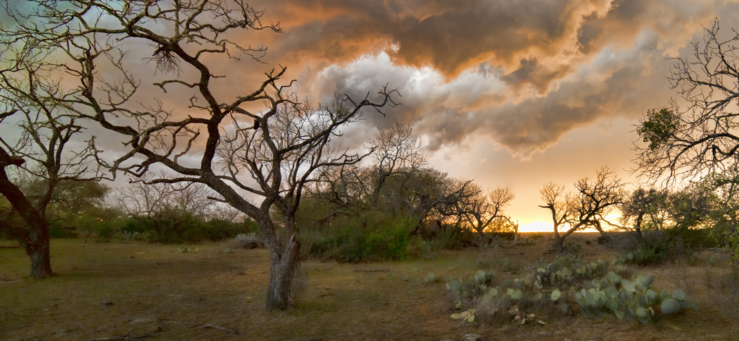 A dry landscape at sunset