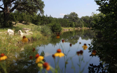 San Antonio mayor navigating troubled waters over plan to reroute aquifer protection tax funding