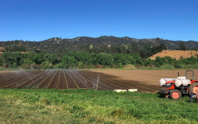 As food supply chain breaks down, farm-to-door CSAs take off