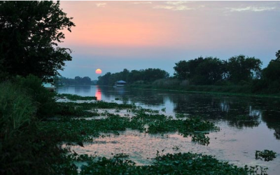Doctor’s orders: Support land and water conservation
