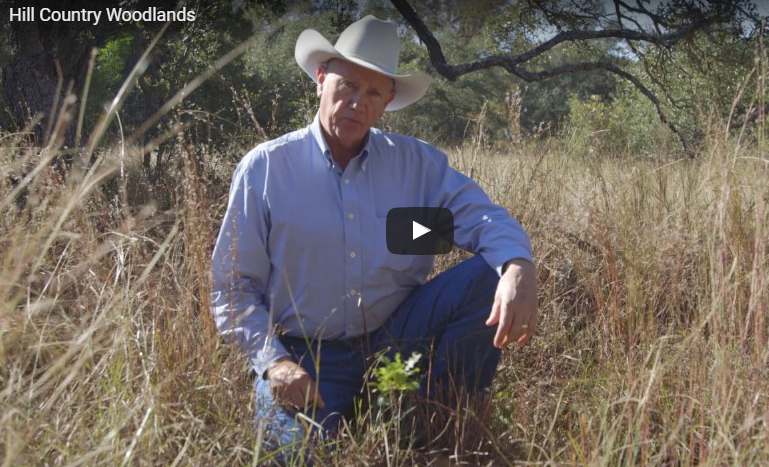 Hill Country Land Trust Video: Hill Country Woodlands