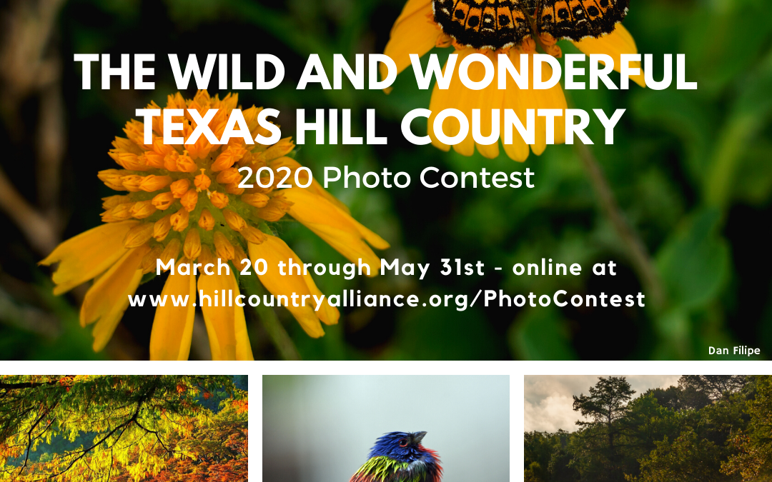 Hill Country Alliance 14th annual photo contest kicks off