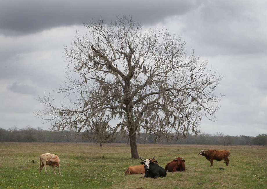 State program makes conservation pay for farm, ranch owners