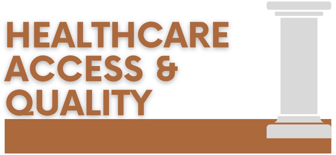 Healthcare Access and Quality pillar