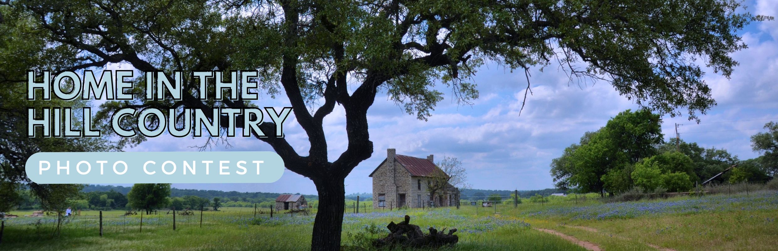 An oak tree stretches over blue skies and a small house in the middle of a field