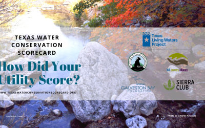 Texas Living Waters Project unveils 2020 Texas Water Conservation Scorecard