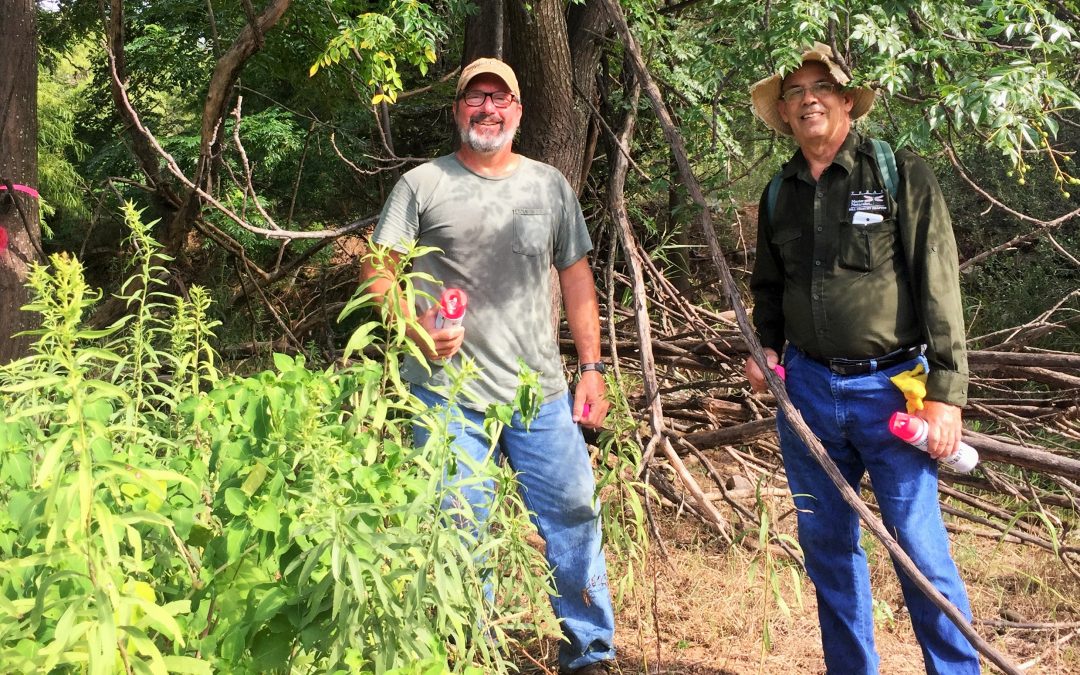 Volunteers improve creek-side habitat at Fort Mason City Park