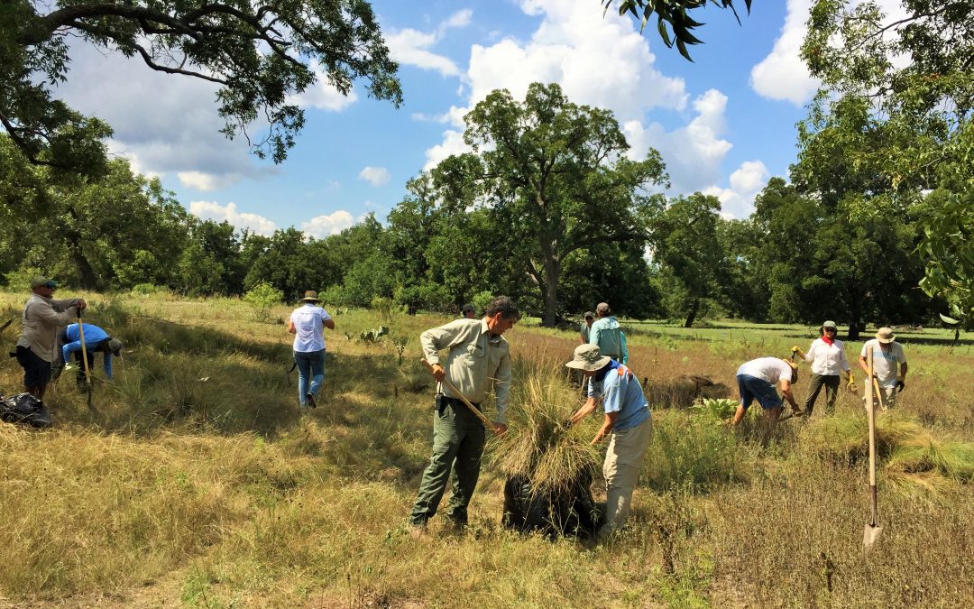 Volunteers clean up South Llano River