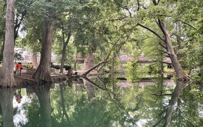 What future do we desire for the Trinity Aquifers?