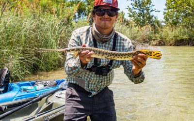 Members in the Wild: Loving the Llano